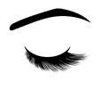 Long eyelashes and eyebrow on a white background. Symbol. Vector Royalty Free Stock Photo